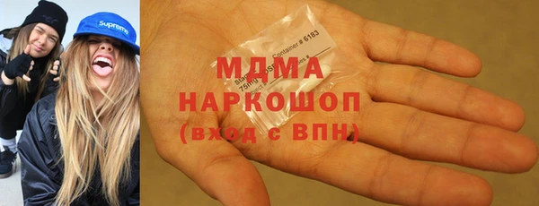 индика Богданович