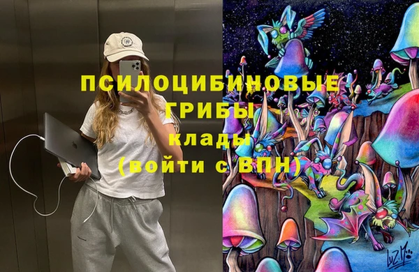 индика Богданович