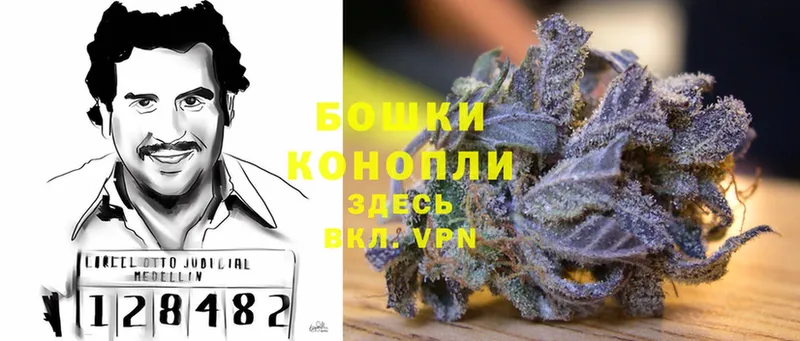 Бошки марихуана Bruce Banner  Прохладный 